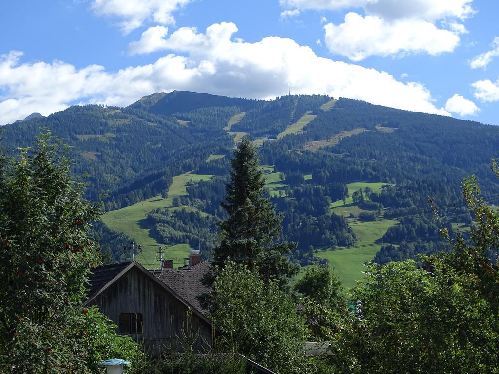 Ferienwohnung Schoenauer Haus im Ennstal Zewnętrze zdjęcie